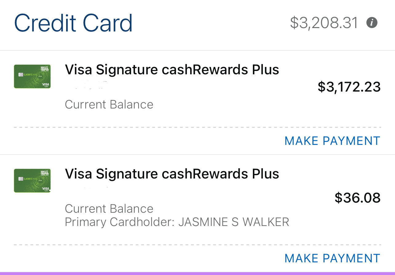 Credit card balances showing Type 1 vs Type 2 payment methods